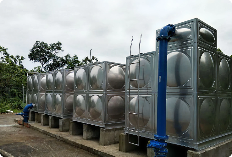 Benefits of Choosing Aqua Cube Tank